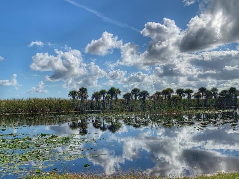 Best Nature Spots in Palm Bay, Florida