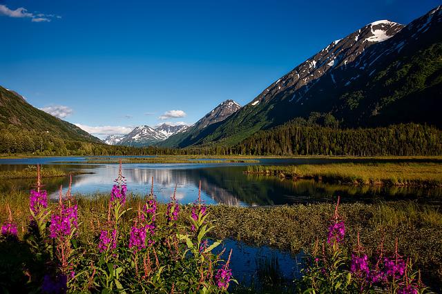 The Ultimate Alaska Bucket List: 10 Amazing Adventures To Take